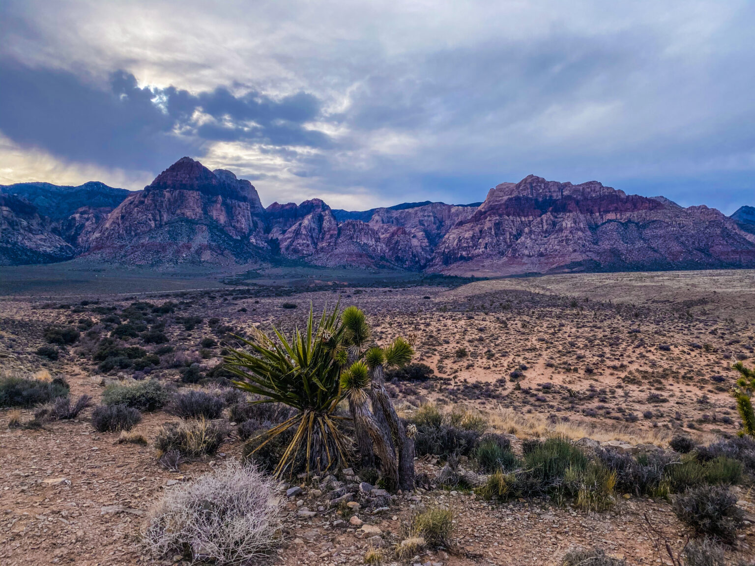 THE BEST PLACE TO ENJOY THE MOJAVE DESERT IN NEVADA Life Beyond The Wire